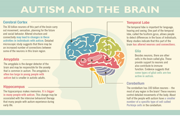 autism-battery-en1neuro