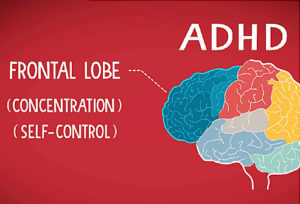 ADHD & ADD | en1neuro